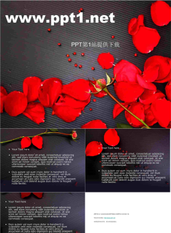 婚庆PPT模板-红色的玫瑰花瓣.ppt[共5张]
