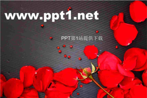 婚庆PPT模板-红色的玫瑰花瓣.ppt[共5张]
