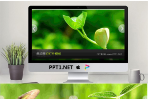 动态绿苗豆芽背景的植物幻灯片模板.pptx[共8张]