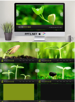 动态绿苗豆芽背景的植物幻灯片模板.pptx[共8张]