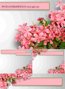盛开鲜花花卉PPT模板.ppt[共4张]