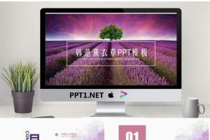 紫色薰衣草背景PPT模板免费.pptx[共26张]