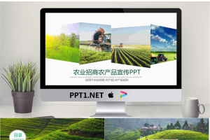 图片拼合背景的农业招商PPT模板.pptx[共22张]