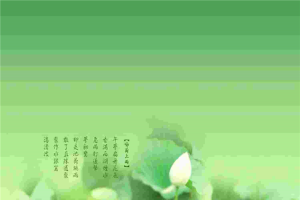 淡雅荷花PPT模板.pptx[共1张]