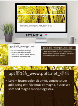秋天枫叶林PPT模板.ppt[共4张]