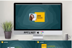 精美个人简历PPT模板_编号D24Baa.pptx[共9张]