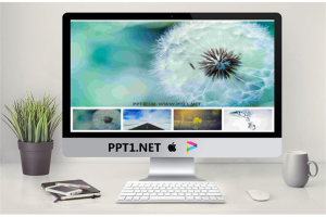 点击切换图片相册PPT动画.pptx[共20张]