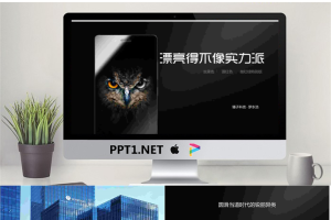 锤子科技坚果手机发布会PPT欣赏.pptx[共19张]