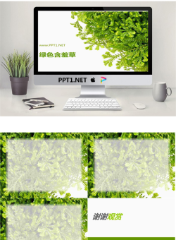 含羞草背景PowerPoint模板.ppt[共5张]