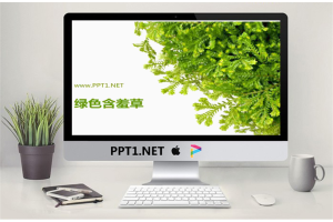 含羞草背景PowerPoint模板.ppt[共5张]