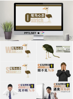 《鸵鸟心态》PPT.pptx[共13张]