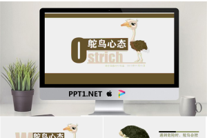 《鸵鸟心态》PPT.pptx[共13张]