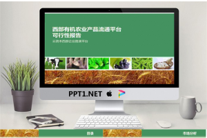 农业产品流通平台分析报告PPT.ppt[共22张]