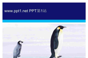 南极企鹅PPT模板.ppt[共4张]