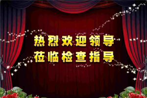 政府部门工作检查汇报PPT模板.pptx[共2张]