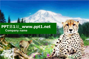 豹子PPT模板.ppt[共4张]