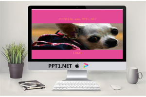 可爱吉娃娃动物PPT模板.ppt[共2张]