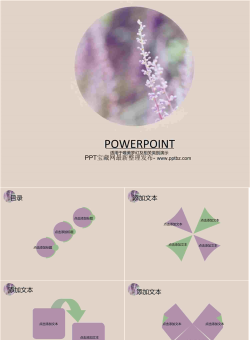 熏衣花语PPT模板.ppt[共11张]