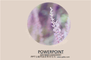熏衣花语PPT模板.ppt[共11张]