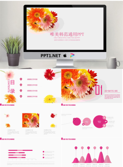 唯美菊花背景PPT模板免费.pptx[共22张]