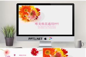 唯美菊花背景PPT模板免费.pptx[共22张]