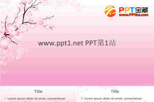 梅花宽屏风格PPT模板.ppt[共5张]