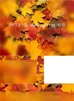秋叶枫叶PPT模板.ppt[共4张]