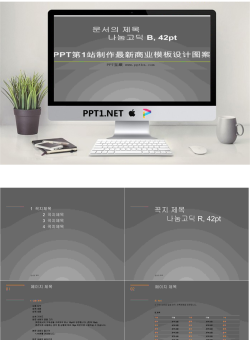 韩国设计PPT模板.ppt[共16张]