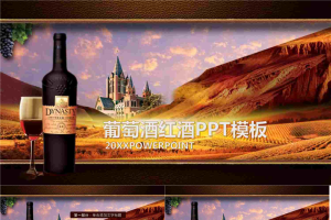 法国葡萄酒酒庄红酒PPT模板.pptx[共28张]