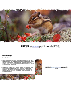 可爱小松鼠吃果子PPT模板.ppt[共4张]