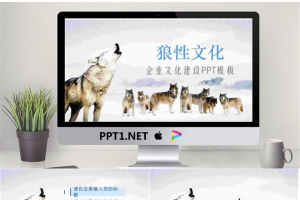 狼群背景的狼性企业文化培训PPT模板.pptx[共26张]