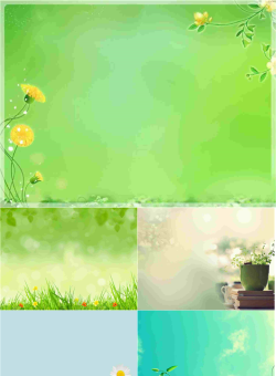 7张淡雅植物PPT背景图片.ppt[共8张]