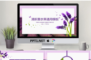 清新薰衣草背景的卡片样式PPT模板.pptx[共25张]