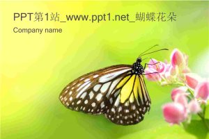 蝴蝶花朵PPT模板.ppt[共4张]