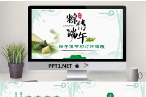 淡雅绿色端午节PPT模板.pptx[共24张]