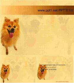 宠物狗PPT模板.ppt[共3张]