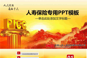 中国人寿保险公司PPT模板.pptx[共28张]