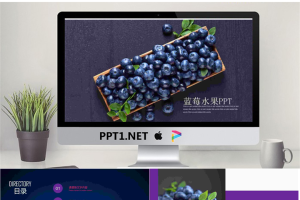 紫色水果蓝莓PPT模板免费.pptx[共22张]