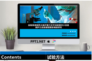 毕业答辩PPT模板_编号0S2ebh.pptx[共12张]
