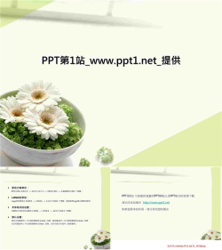 淡雅小盆花PPT模板.ppt[共3张]