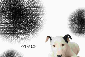 可爱的斑点狗背景PPT模板.ppt[共1张]