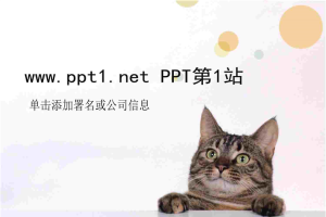 可爱小猫PPT模板.ppt[共4张]