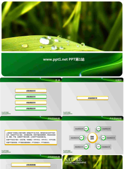 水滴绿叶PPT模板.ppt[共8张]
