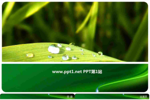 水滴绿叶PPT模板.ppt[共8张]