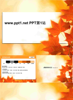 秋天枫叶PPT模板.ppt[共4张]