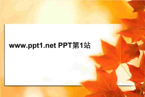 秋天枫叶PPT模板.ppt[共4张]