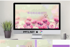 粉色蔷薇花背景的韩国PPT模板.pptx[共22张]