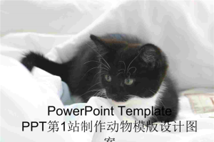 可爱黑白色小猫咪在被窝里动物PPT模板.ppt[共9张]