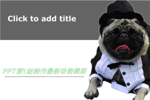 可爱小狗艺术（专业制作原创设计动物植物PPT模板）.ppt[共4张]
