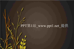 农业稻谷研究PPT模板.ppt[共6张]